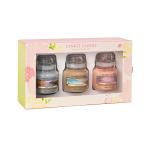 Yankee Candle Housewarmer 105g 3er Set Sommer