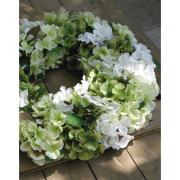 Kranz Hortensie Hortensienkranz wei� - gr�n 60cm