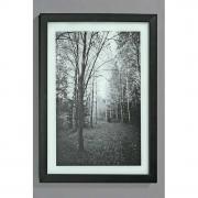 Wandbild Wald schwarz - wei mit Beleuchtung 40cm