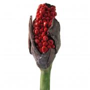 Samenschote Seedpod Kunstblume 65cm Premium