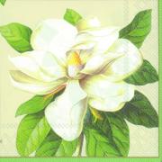 IHR Servietten Lunch 33x33cm Magnolia cream