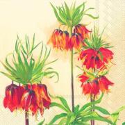 IHR Servietten Lunch 33x33cm Fritillaria Imperialis Kaiserkrone