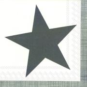 IHR Servietten Cocktail 25x25cm Pure Star grey