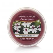 Yankee Candle Easy MeltCup Madagascan Orchid 61g