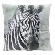 Kissen mit Zebra - Motiv 50 x 50cm Afrika