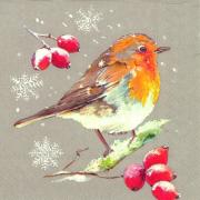 IHR Servietten Cocktail 25x25cm Winter Robin Rotkehlchen