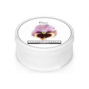 Classic Candle Pansy MiniLight