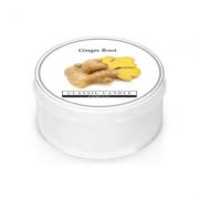 Classic Candle Ginger Root MiniLight