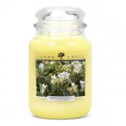 Goose Creek Candle Sweet Honeysuckle Duftkerze 2-Docht 623g