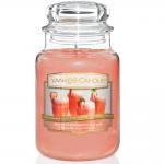 Yankee Candle White Strawberry Bellini Housewarmer 623g Yankee Candle White Strawberry Bellini Housewarmer 623g