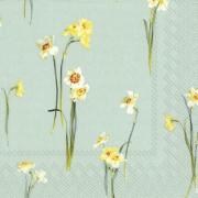 IHR Servietten Cocktail 25x25cm Elegant Narcissus light blue