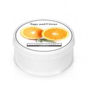 Classic Candle Sage & Citrus MiniLight