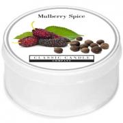 Classic Candle Mulberry Spice MiniLight