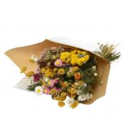 Strauss Trockenblumen u. Gräser Blumenstrauß bunt 55cm
