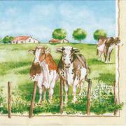 Ambiente Servietten Lunch 33x33cm Country Side