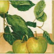 Ambiente Servietten Lunch 33x33cm Applebranch creme