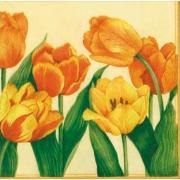 Ambiente Servietten Lunch 33x33cm Tulpen