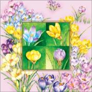 Ambiente Servietten Lunch 33x33cm Crocus Square pink