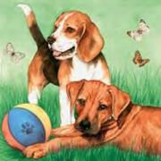 Ambiente Servietten Lunch 33x33cm Playing Dogs
