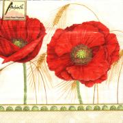 Ambiente Servietten Lunch 33x33cm Corn Poppy cream