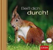 Groh Geschenkbuch Bei� dich durch !