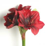 Amaryllis Real Touch Kunstblume 80cm