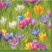 IHR Servietten Lunch 33x33cm Crocus Meadow