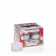 Yankee Candle Beach Flowers Teelichte 12 Stk.