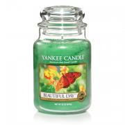 Yankee Candle Beautiful Day Housewarmer 625g