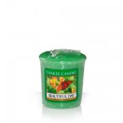 Yankee Candle Beautiful Day Sampler