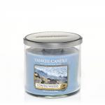 Yankee Candle Coastal Waters Zweidochtkerze 354g