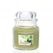 Yankee Candle Cuban Mojito Housewarmer 411g