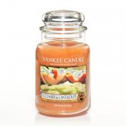 Yankee Candle Housewarmer Cucumber & Cantaloupe 625g