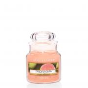 Yankee Candle Delicious Guava Housewarmer 104g