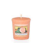 Yankee Candle Delicious Guava Sampler