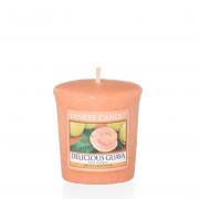 Yankee Candle Delicious Guava Sampler