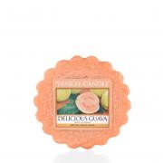 Yankee Candle Delicious Guava Duftwachs Tart