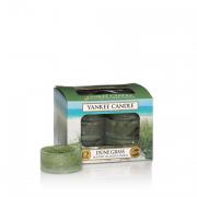 Yankee Candle Dune Grass Teelichte 12 Stk.