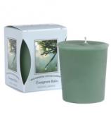 Bridgewater Candle Votivkerze Evergreen Rain