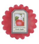 Bridgewater Candle Duftwachs Wafer Fresh Apple