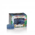 Yankee Candle Garden Sweet Pea Teelichte 12 Stk.