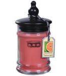 Bridgewater Candle Duftkerze Grapefruit Splash 227g
