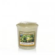 Yankee Candle Grapevine & Oak Sampler