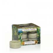 Yankee Candle Grapevine & Oak Teelichte 12 Stk.