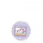 Yankee Candle Honey Blossom Duftwachs Tart