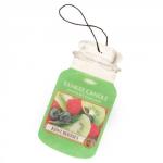 Yankee Candle Kiwi Berries Car Jar
