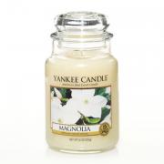 Yankee Candle Magnolia Housewarmer 625g