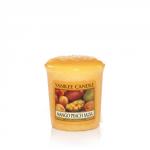 Yankee Candle Mango Peach Salsa Sampler