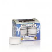 Yankee Candle Midnight Jasmine Teelichte 12 Stk.