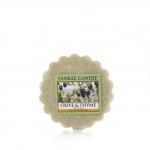 Yankee Candle Olive & Thyme Duftwachs Tart